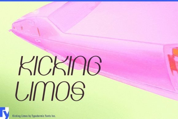 Kicking Limos: A Stylish Addition to Your Design Toolkit