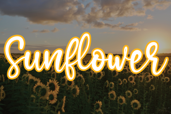 Sunflower: A Versatile Handwritten Font for Creative Expression